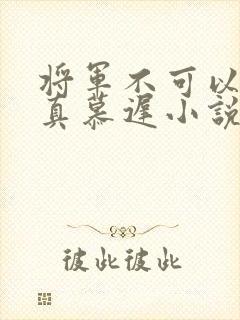 将军不可以魏云真慕迟小说笔趣阁