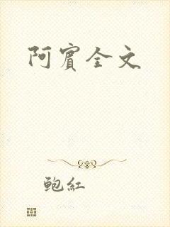 阿宾全文
