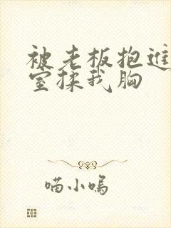 被老板抱进办公室揉我胸