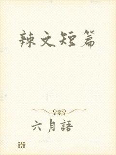辣文短篇封面