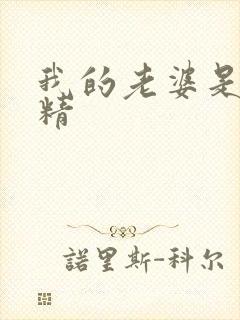 我的老婆是狐狸精