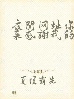 夜间网址你会回来感谢我的封面