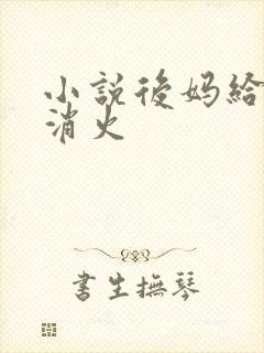 小说后妈给我消消火