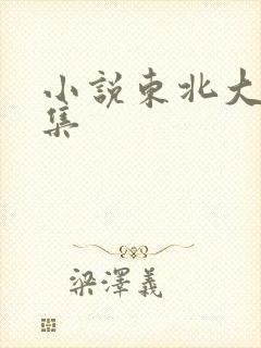 小说东北大炕全集