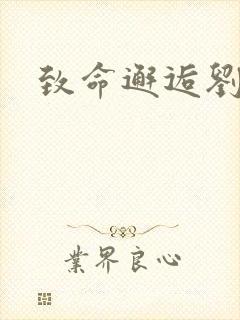 致命邂逅刘小寐