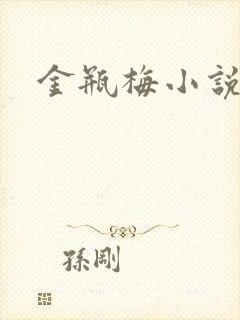 金瓶梅小说封面