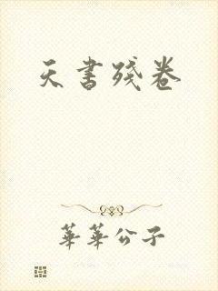 天书残卷封面