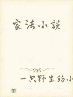 家法小说
