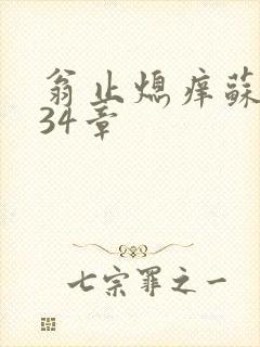 翁止熄痒苏钥第34章封面