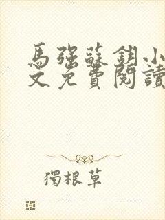 马强苏钥小说全文免费阅读最新章节封面