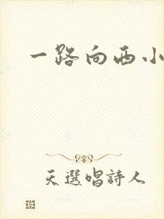 一路向西小说
