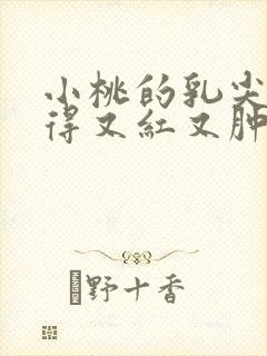 小桃的乳尖被吸得又红又肿