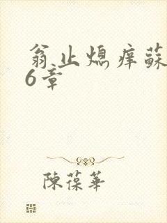 翁止熄痒苏玥第6章