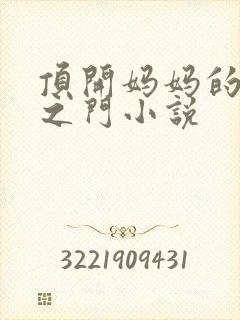 顶开妈妈的生命之门小说封面