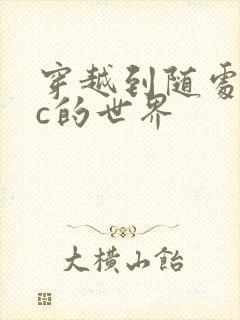 穿越到随处可以c的世界