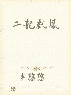 二龙戏凤