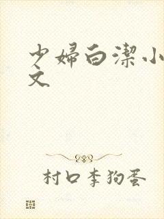 少妇白洁小说全文