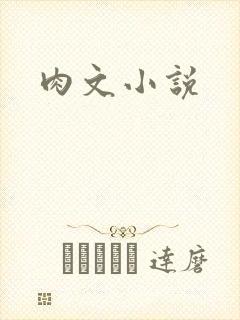 肉文小说