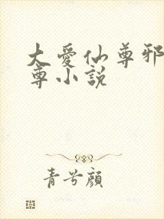 大爱仙尊邪银魔尊小说封面