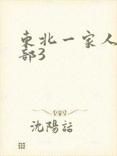 东北一家人第一部3封面
