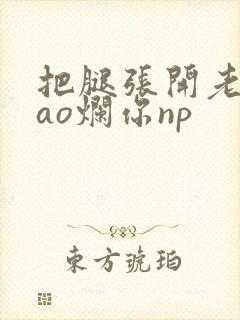 把腿张开老子cao烂你np