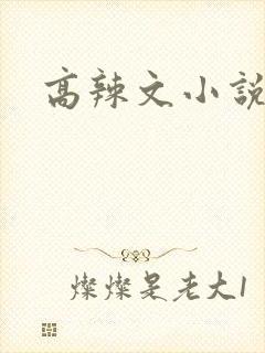 高辣文小说