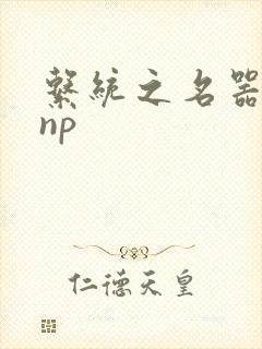 系统之名器攻略np