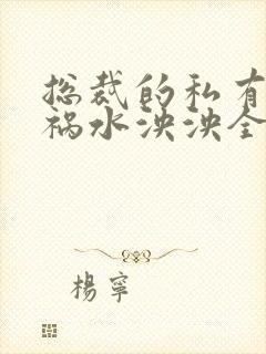 总裁的私有宝贝祸水泱泱全文阅读封面