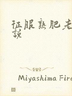 征服熟肥老妇小说