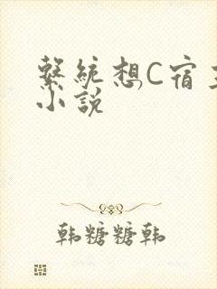 系统想C宿主的小说