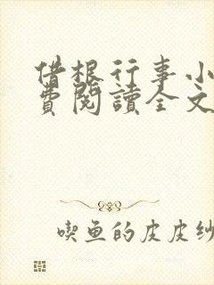 借根行事小说免费阅读全文在线阅笔趣无弹窗封面