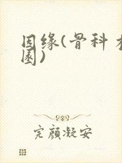 因缘(骨科 校园)