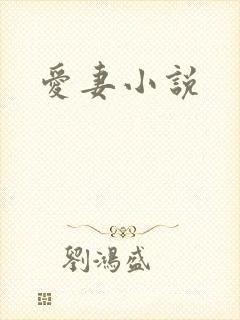 爱妻小说
