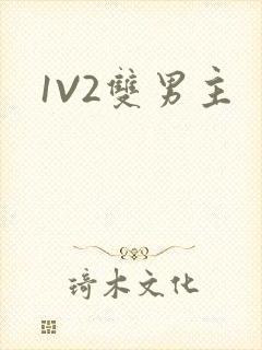 1V2双男主