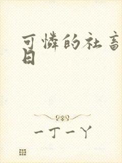 可怜的社畜东度日