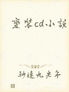 变装cd小说封面