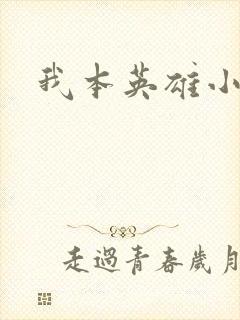 我本英雄小说