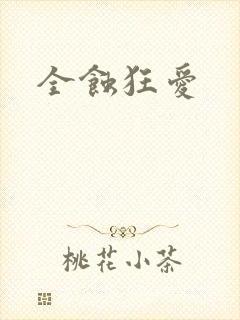 全蚀狂爱封面