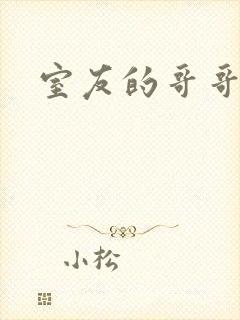 室友的哥哥封面