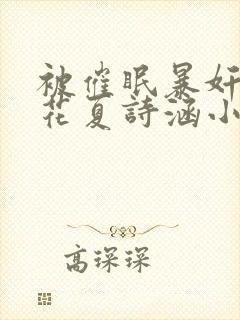 被催眠暴奸的校花夏诗涵小说封面