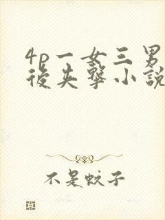 4p一女三男前后夹击小说封面