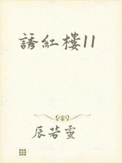 诱红楼11封面