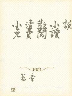 小清欢小说全文免费阅读封面