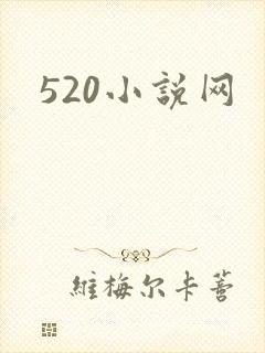 520小说网