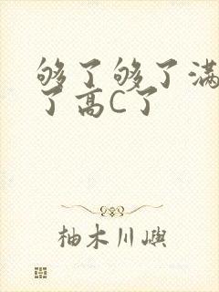 够了够了满到C了高C了封面