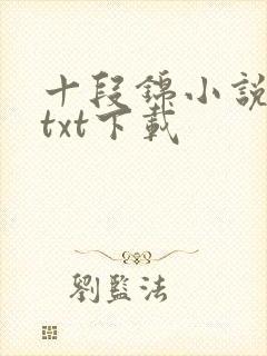 十段锦小说全本txt下载