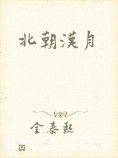 北朝汉月