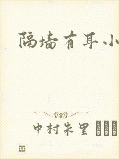 隔墙有耳小说封面