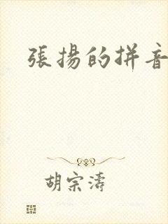 张扬的拼音封面