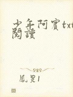 少年阿宾txt阅读